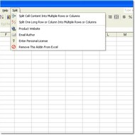 Excel Split Names & Addresses Into Multiple Cells screenshot